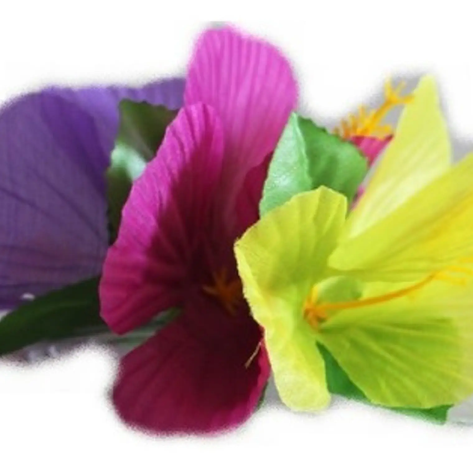 Pinza Para El Cabello 3 Hibiscos Lila Amarillo  1