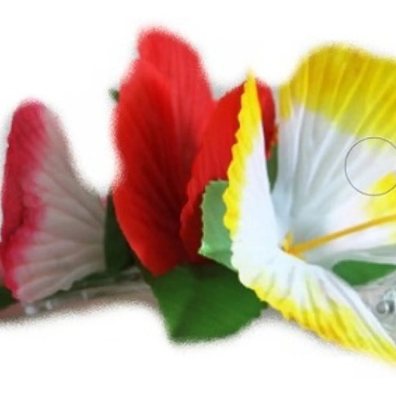 Flor Pinza 3 Hibiscos Amarillo, Rojo Y Blanco Fucsia 1