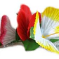 Flor Pinza 3 Hibiscos Amarillo, Rojo Y Blanco Fucsia - thumbnail 1