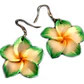 Aros Colgantes Tipanie Verde Blanco diametro 3,5cm - thumbnail 1