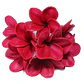 Flor Para Cabello Con Palito Tipanie Roja Texturada - Miniatura 2
