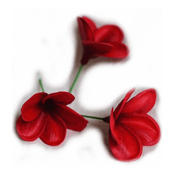 Flor Para Cabello Con Palito Tipanie Roja Texturada