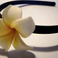 Cintillo Flor Tipanie Blanca Con Amarilla Para El Cabello - Miniatura 2