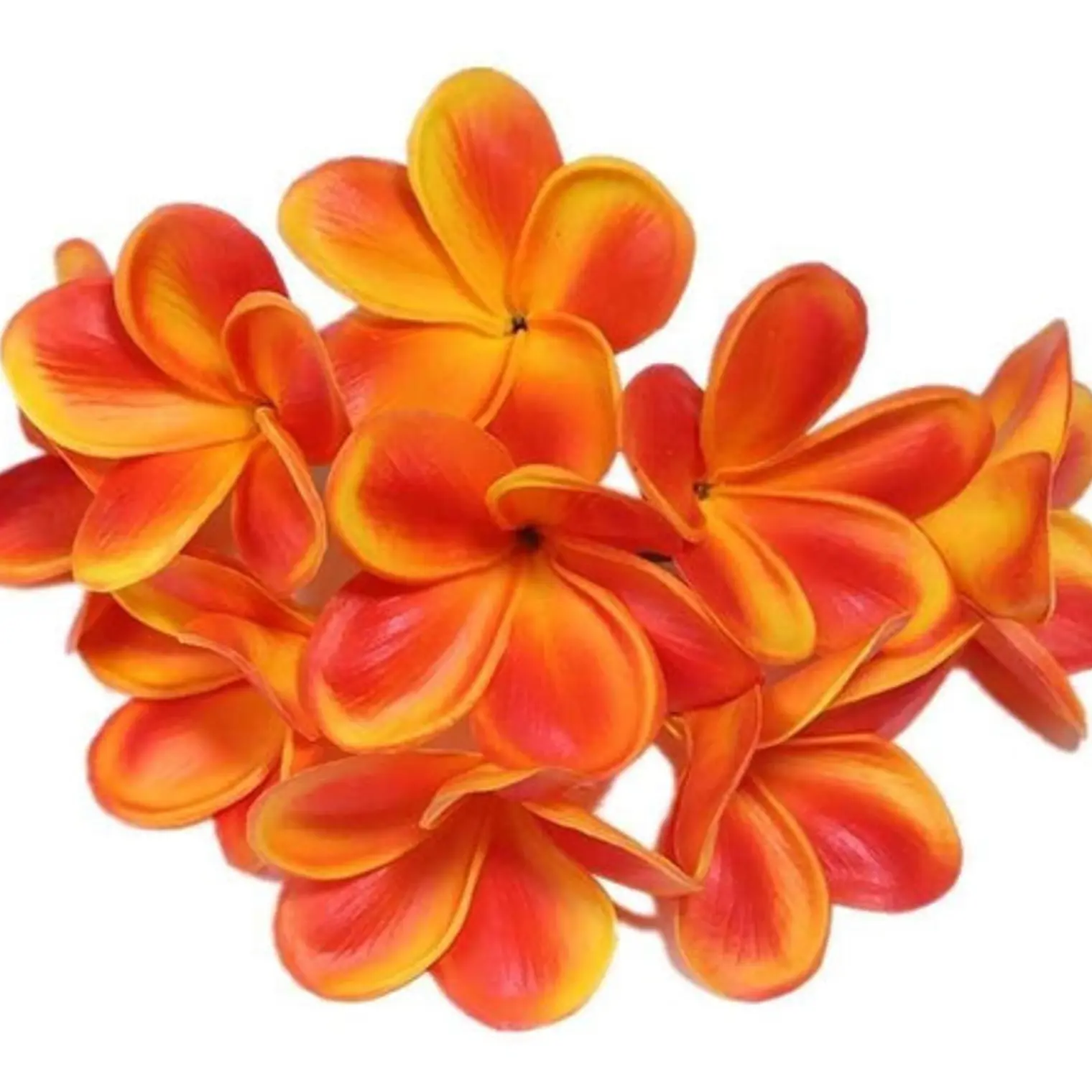 Flor Frangipanie Naranjo Con Amarillo Con Palito  1