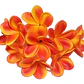 Flor Frangipanie Naranjo Con Amarillo Con Palito  - thumbnail 1