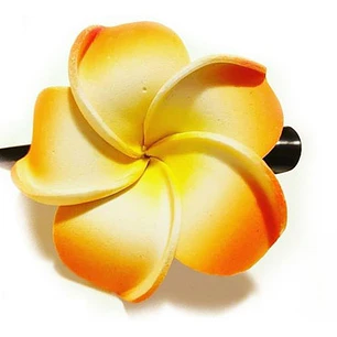 Pinche con Pinza para el cabello Frangipanie Naranjo Con Blanco