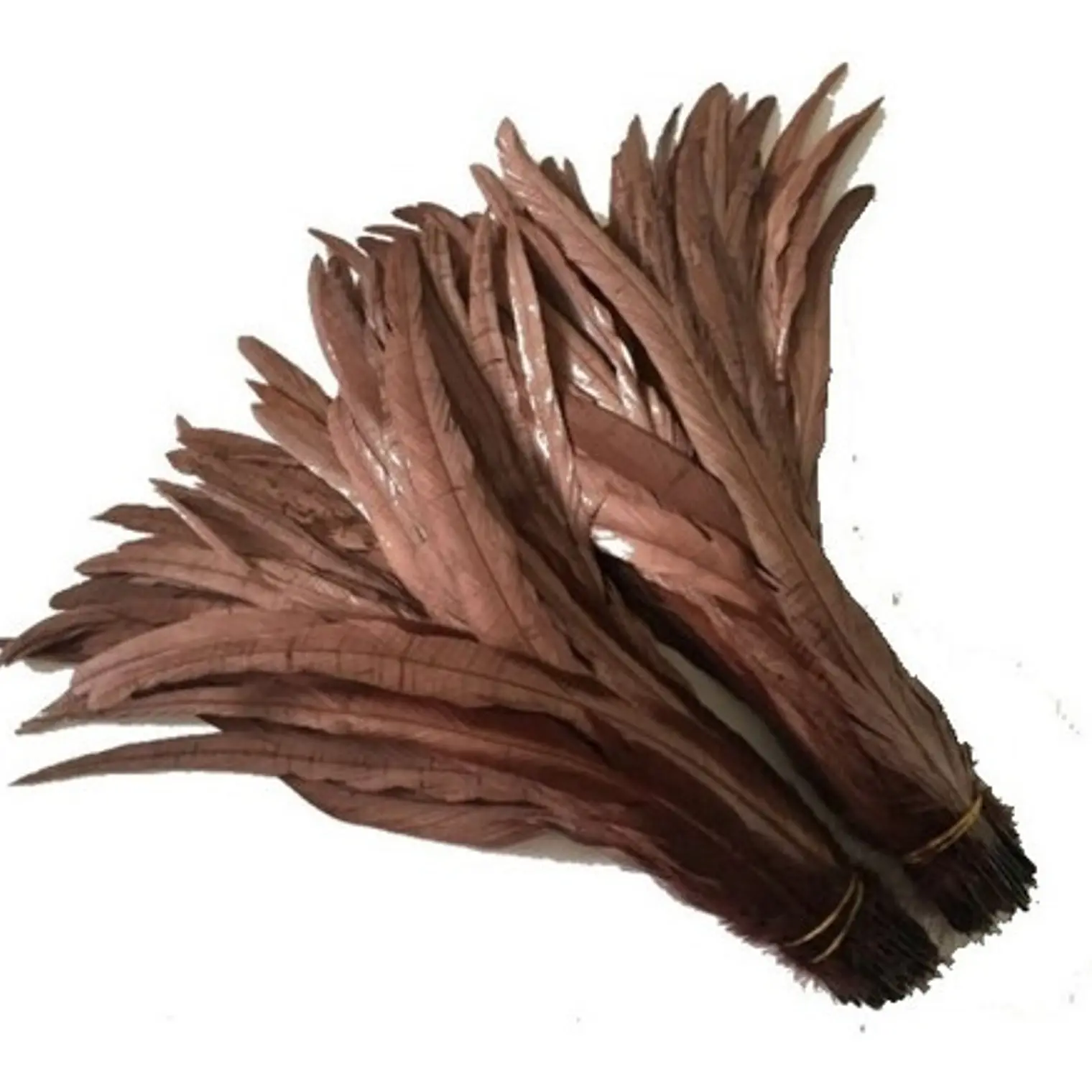 pack 8 Plumas Largas Color Café 25 A 30cm 1