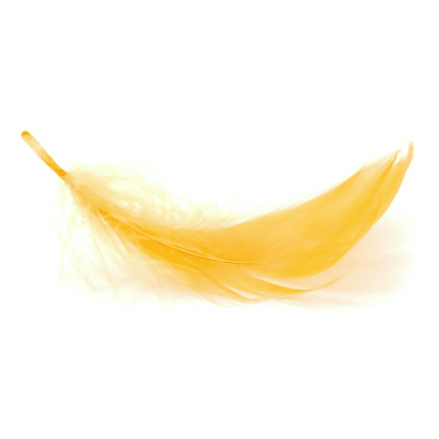 Bolsa Plumas Amarillo entre 4 y 8cm Ideal Para Artesania app plumas