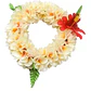Diadema Corona De Flores Ajustable Tipanie Beige elasticado - thumbnail 1
