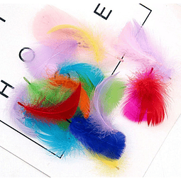 Bolsa Plumas De Colores de 4 a 8cm app 100 un