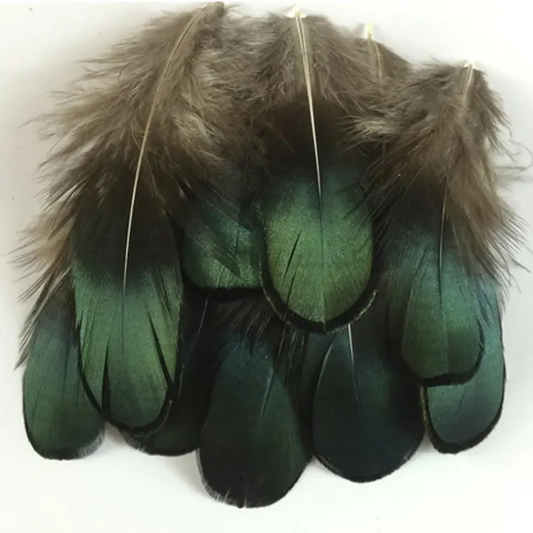 Bolsa Plumas Tornasol Para Accesorios Y Vestuario 1