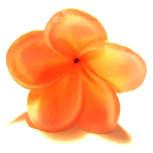 Flor Frangipanie Tipanie con pinche para el cabello Coral con fucsia