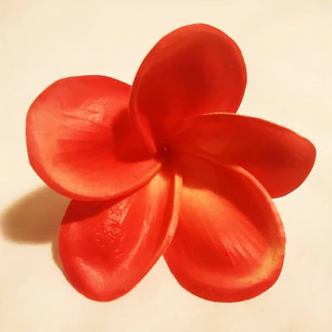 Flor Frangipanie para el cabello Tipanie Coral Oscuro Con Textura Natural