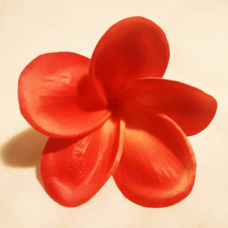 Flor Frangipanie para el cabello Tipanie Coral Oscuro Con Textura Natural 1