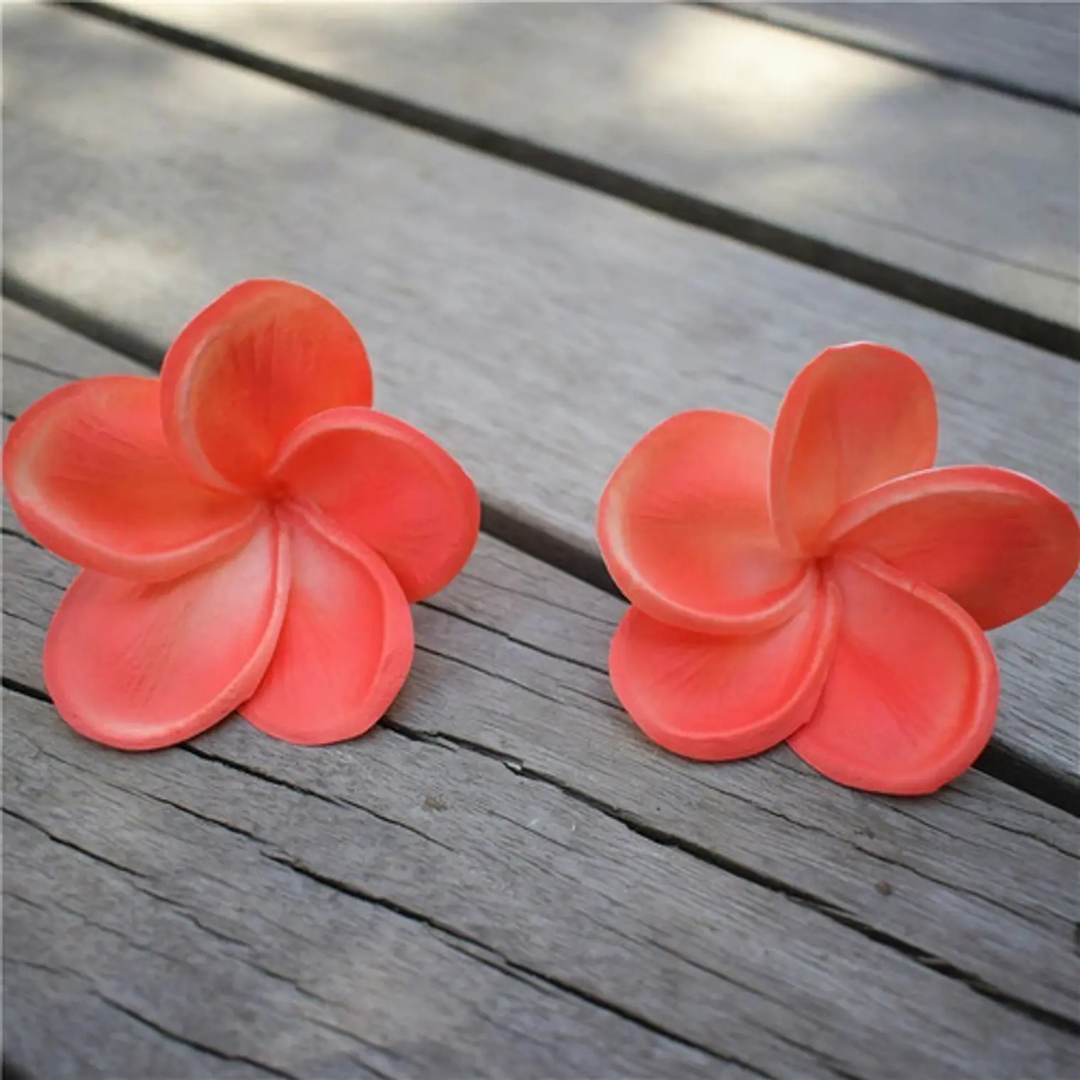 Flor Frangipanie para el cabello Tipanie Coral Oscuro Con Textura Natural 3