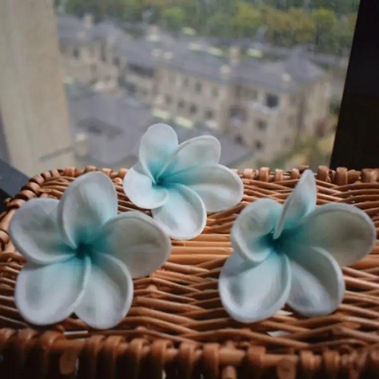 Pinche Flor Frangipanie Tipanie Blanco Con Azul Con Textura Natural para el cabello 3