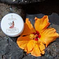 Body Butter Anakena Con Extractos De Guayaba y exquisito aroma a monoi. - thumbnail 3
