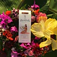Anakena Eau De Parfum 50ml Fragancia A Monoi - Miniatura 3
