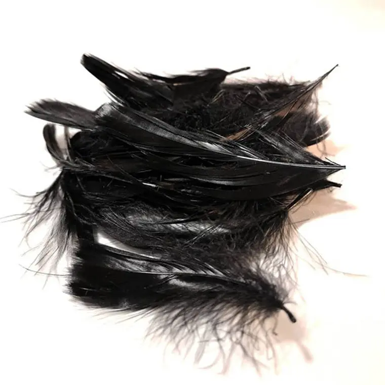 Pack 5 Bolsas Plumas Negras Ideal Artesanias 4 a 8cm 1