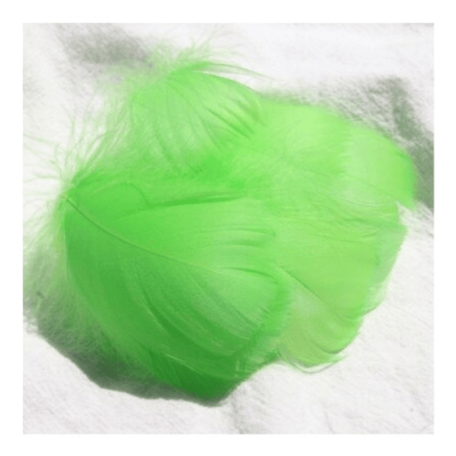 Plumas De Color Verde / 100 Unidades De Entre 4 Y 8cm