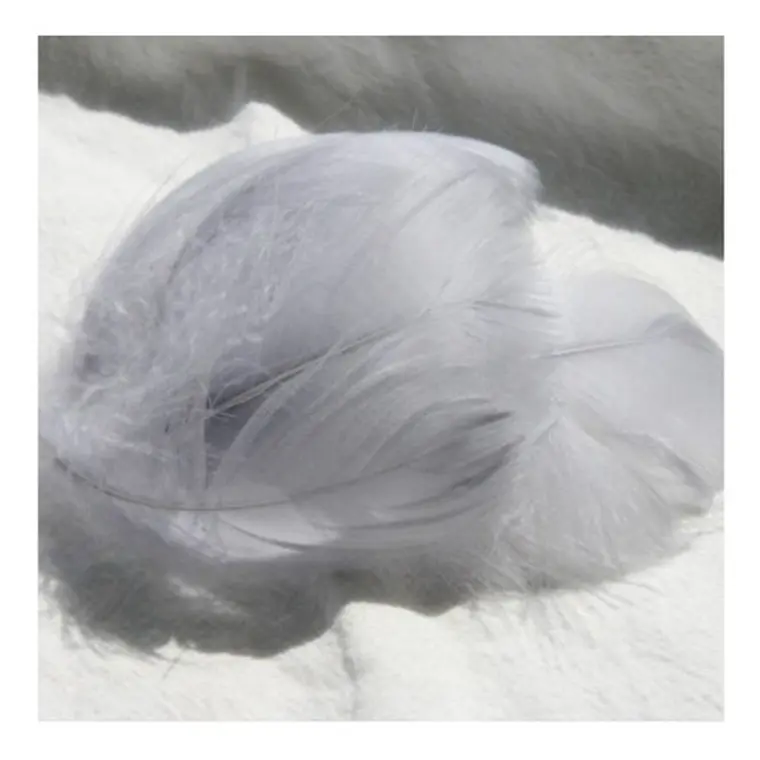 Plumas De Color Gris Claro app 100 Un Entre 4 Y 8cm 1