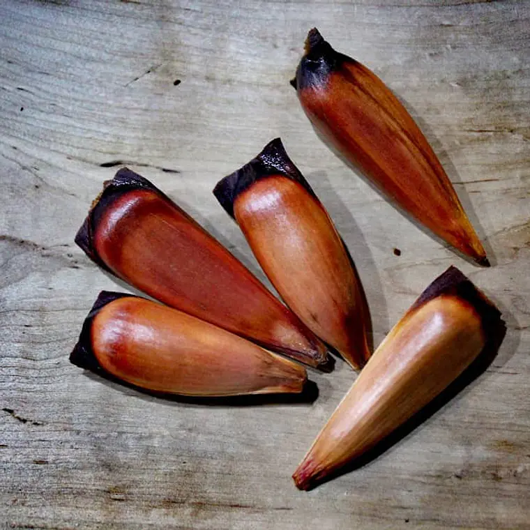 SALSA DE PIÑON Y VEGETALES 50 gramos 5
