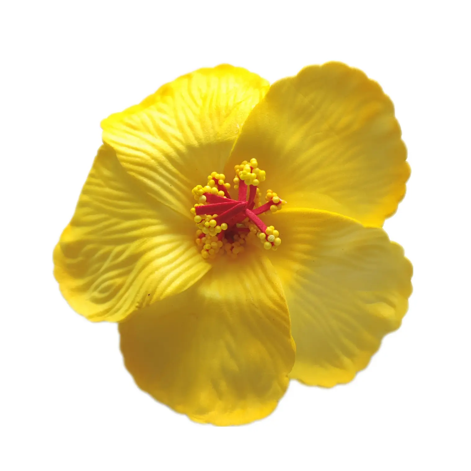 Flores hibisco amarillo 7cm con pinza para el cabello 1