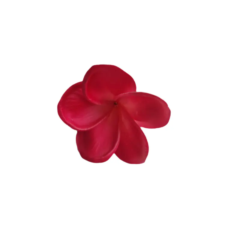 Tipanie Fucsia Texturada para el Cabello Con Palito 5