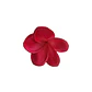Tipanie Fucsia Texturada para el Cabello Con Palito - Miniatura 5
