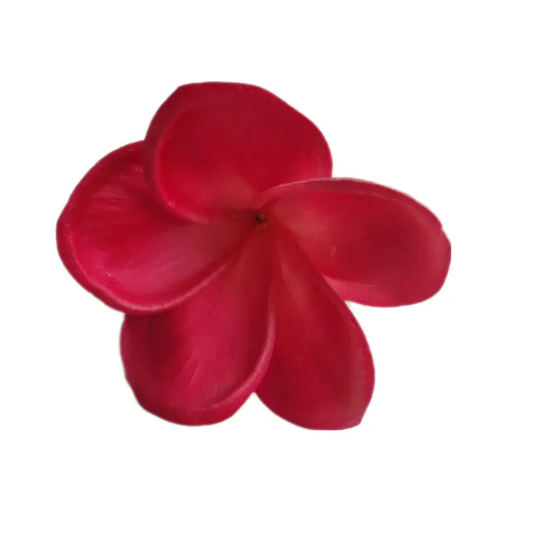 Tipanie Fucsia Texturada para el Cabello Con Palito 3