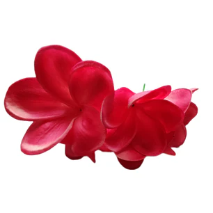 Tipanie Fucsia Texturada para el Cabello Con Palito