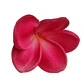 Tipanie Fucsia Texturada para el Cabello Con Palito - Miniatura 8