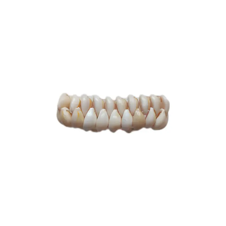 Pulsera de pure blanco / elasticada 3