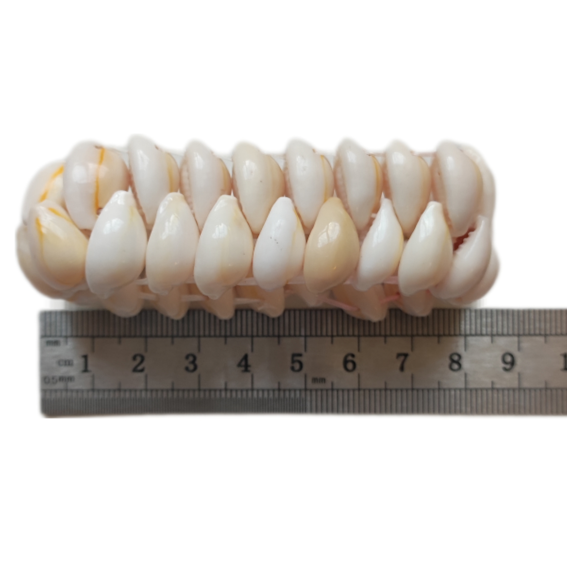 Pulsera de pure blanco / elasticada