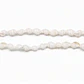 Collar De Conchitas Blanco Largo 120cm - Miniatura 2