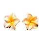 Aros flor tipanie blanca con amarillo diametro 2 cm - thumbnail 8