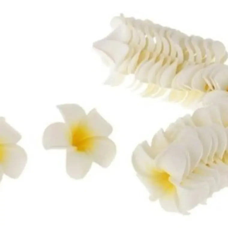 Pack 20 Flores Tipanie Blanco Con Amarillo De Goma Eva 4,5cm 1