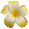Flores Tipanie amarillo con pinza para el cabello