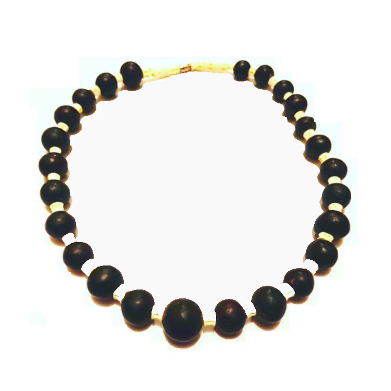 Collar Vértebras de pescado y Coco 1