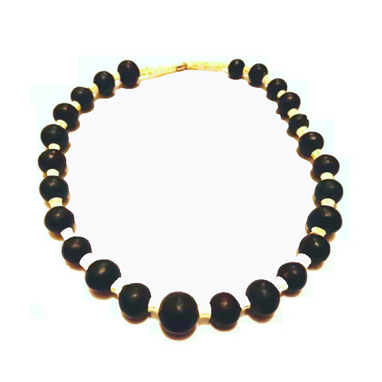 Collar Vértebras de pescado y Coco 1
