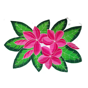 Pareo Blanco / 3 Tipanie fucsia Napohe 1,75x1,15mts