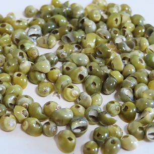 Bolsa 18grs Conchitas verde amarillo tamaño entre 0,3 y 0,5cm
