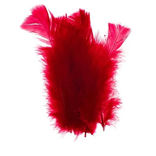 Bolsa app 100 Plumas Rojo vino de 4 a 8cm 