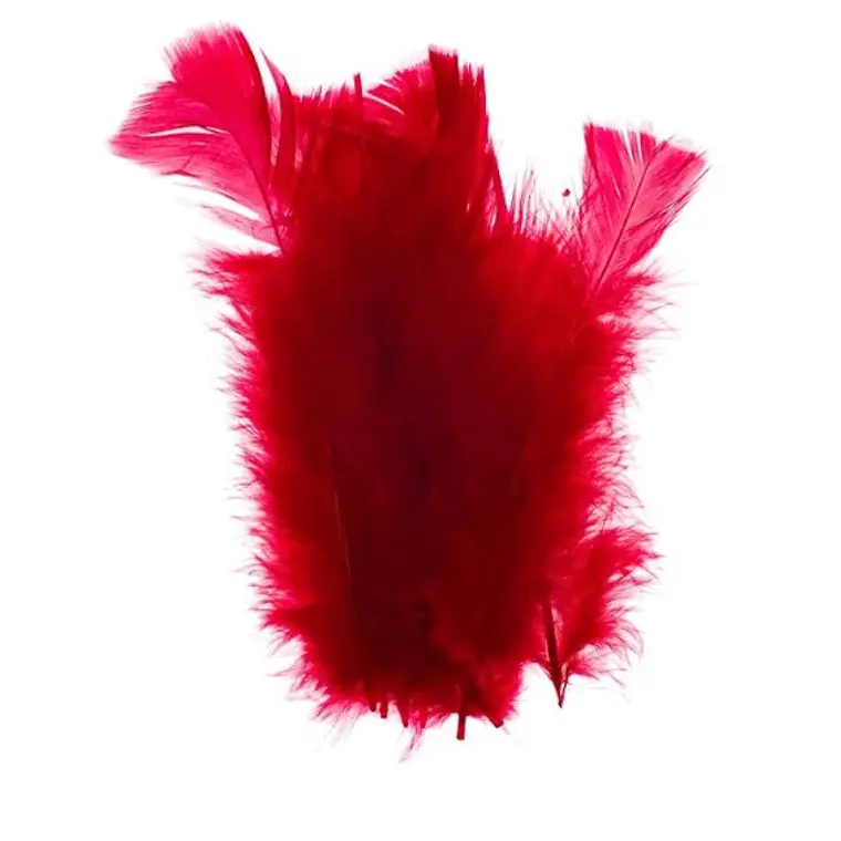 Bolsa app 100 Plumas Rojo vino de 4 a 8cm  1
