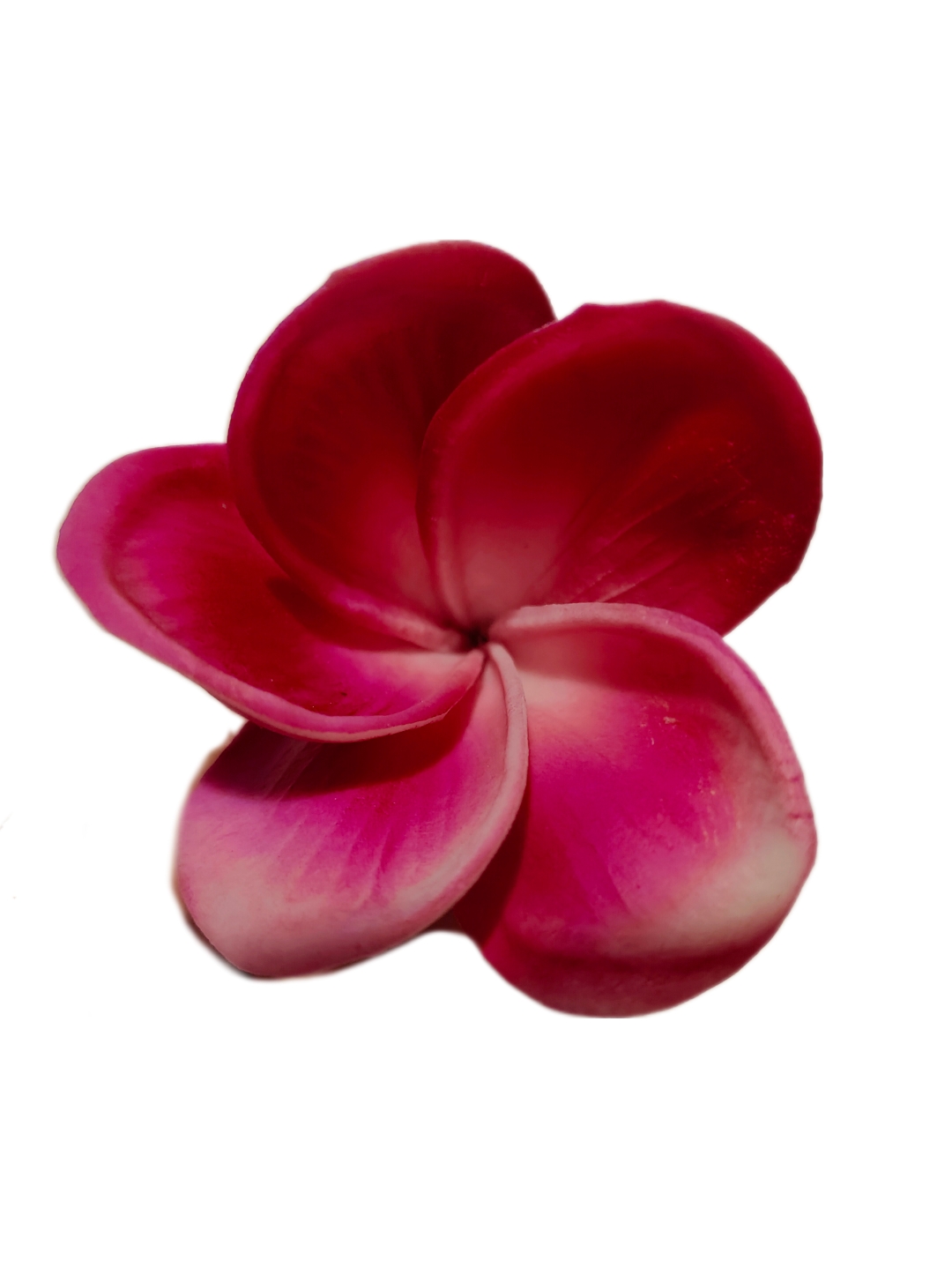 Flor Para El Cabello Con Palito Tipanie Magenta