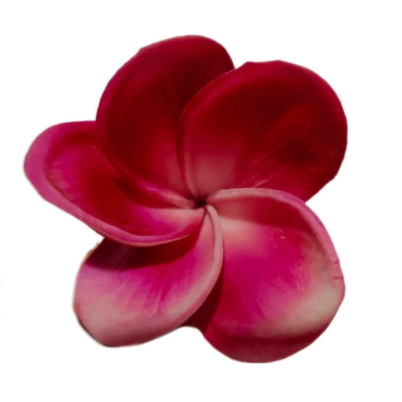 Flor Para El Cabello Con Palito Tipanie Magenta 1