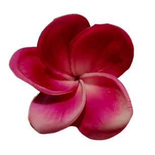 Flor Para El Cabello Con Palito Tipanie Magenta