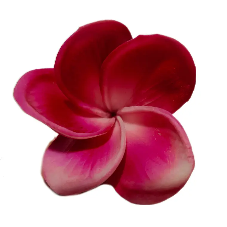Flor Para El Cabello Con Palito Tipanie Magenta 1