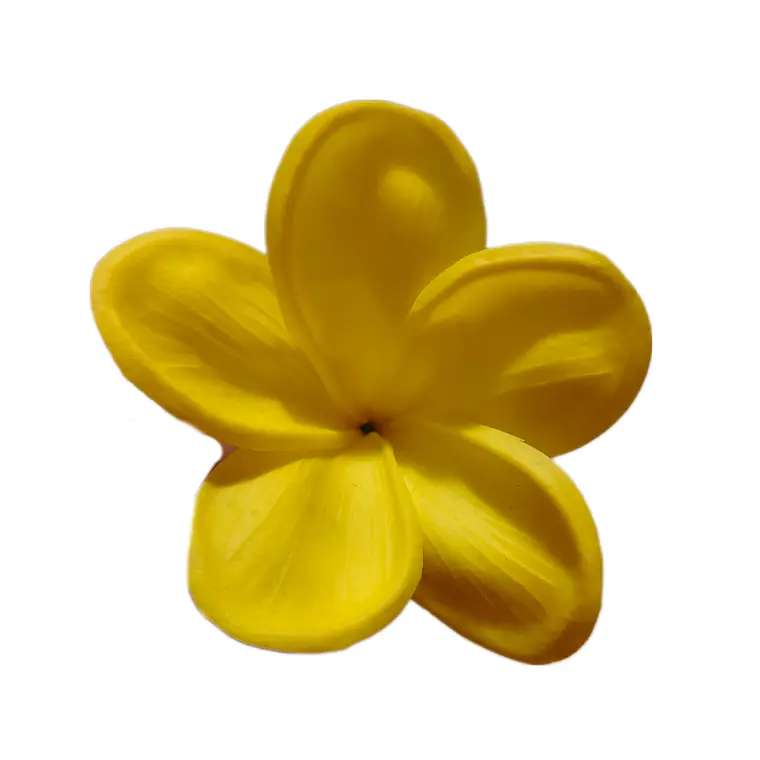 Flor Frangipanie Amarillo Con Palito para el cabello 3