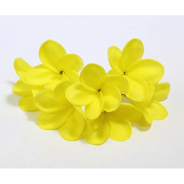 Flor Frangipanie Amarillo Con Palito para el cabello